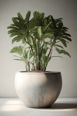 Tropical plants banana in a pot on a white background. Generative AI