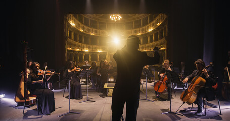 Cinematic Back View of Professional Conductor Directing Symphony Orchestra with Performers Playing...