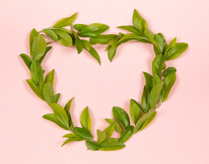 Green leaves heart