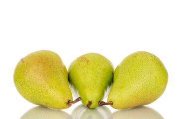 Three ripe organic pears, macro, on a w background.