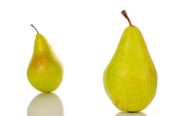 Two whole sweet juicy pears, close-up, on a white background.