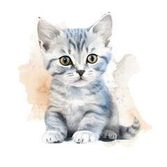 Fototapeta na wymiar cat kitten watercolor illustration. Generative AI