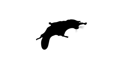 Flying squirrel silhouette © OMIA