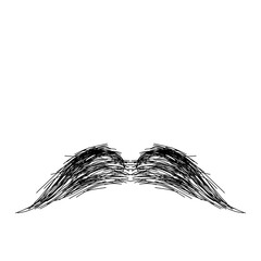 Mustache Hand Drawn Vector 