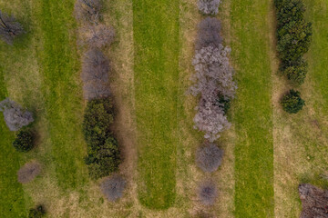 drone shot of the field