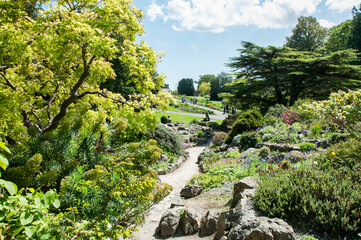 Fototapeta na wymiar Dublin Botanic garden