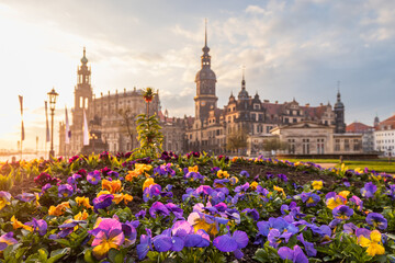 Dresden im Frühling zu Sonnenaufgang
