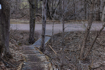 wooden bridge in the forest