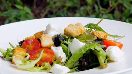 Caesar salad with chicken, mozzarella, and cherry tomatoes served at outdoor garden restaurant. Healthy and delicious dish with fresh lettuce, croutons, and cheese.