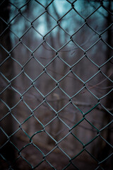 fence with background