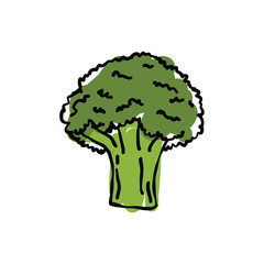 broccoli doodle icon, vector color line illustration