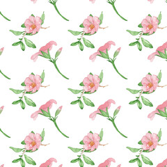 Floral pattern with rose flowers on a white background, hand painted in watercolor.