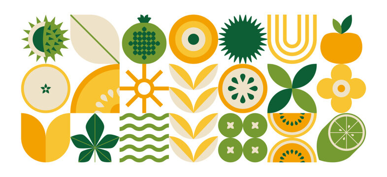 Abstract geometric food pattern. Minimal natural fruit plant simple shape, eco agriculture concept. Vector floral banner