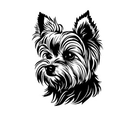 Yorkshire Terrier, Silhouettes Dog Face SVG, black and white Yorkshire Terrier vector