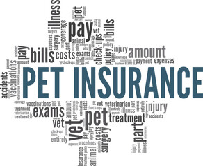 Pet Insurance word cloud conceptual design isolated on white background.
