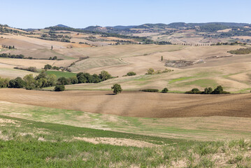 Fototapeta premium The rural landscape near Pienza in Tuscany. Italy