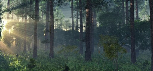 Forest in the rays of the morning sun, a park in the fog at sunset, 3d rendering