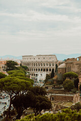 Fototapeta na wymiar View of the roman forum city and the colosseum