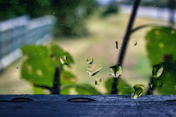 Water drops on window, rainy day, blurred green background, focused water drops.