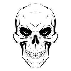 Skull. sketch vector illustration isolated on white background.