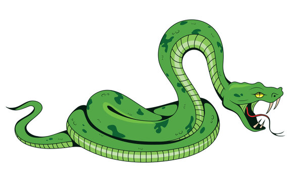 Snake. Vector illustration of tattoo tropical serpent