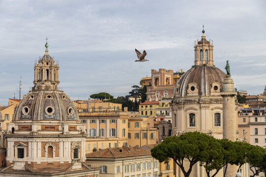 Bird flying near Monument to Victor Emmanuel II