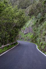 Dark road in green natural untouched mountain range in  tenerife island, canarias, spain