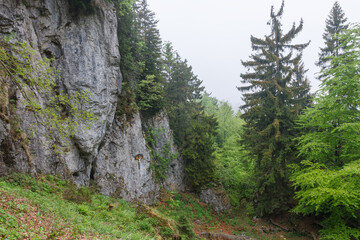 Fototapeta na wymiar White rocks, view from mountain pass Vrata, national park Mala Fatra, Slovakia spring, cloudy day.