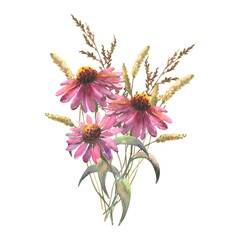 Watercolor bouquet of echinacea flowers and field herbs. Template for invitations, postcards - obrazy, fototapety, plakaty