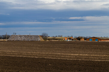 A haystack on an agricultural field under a blue sky. The autumn harvest on the farm is ready. Rural landscape background. Dry crops in rural areas