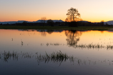 Fototapeta na wymiar Flooded meadow at sunset with reflections in the water.
