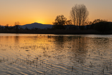 Flooded meadow at sunset with reflections in the water.