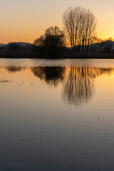 Fototapeta premium Flooded meadow at sunset with reflections in the water.