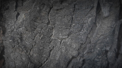 Wooden texture. Dark wooden texture. Rustic three-dimensional wood texture. Rustic wood texture. Wood background. Wooden plank floor background