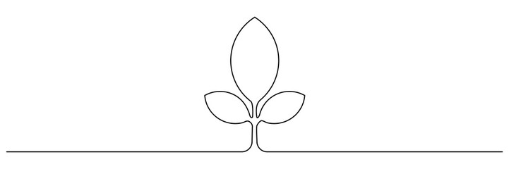 Leaves continuous line drawing. Plant branch one line art. Vector illustration isolated on white.