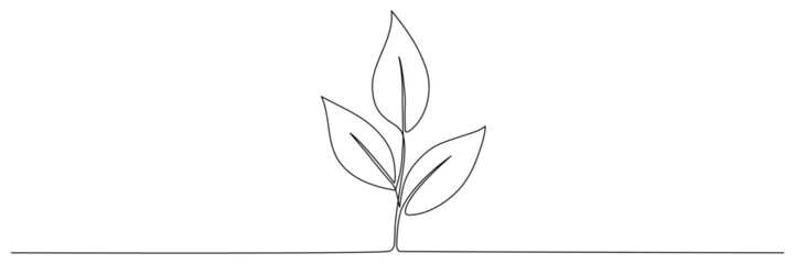 Papier Peint photo autocollant Une ligne Leaves continuous line drawing. Plant branch one line art. Vector illustration isolated on white.