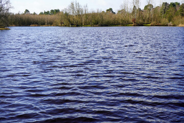 Ripples on the surface of the lake with a woodland background