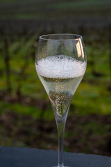 Tasting of brut champagne sparkling wine outdoor with view on pinot noir gran cru vineyards of famous champagne houses in Montagne de Reims near Verzenay, Champagne, France