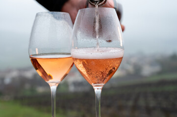 Tasting of premier cru sparkling rose wine with bubbles champagne outdoor with view on hilly pinot meunier vineyards in Hautvillers in February, near Epernay, France.