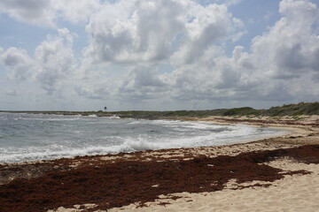 Mexico - Cozumel - Beaches