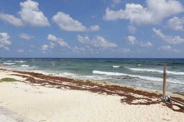 Mexico - Cozumel - Beaches