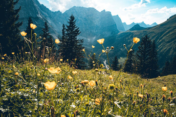 Berge, Wandern, Alpen, Karwendel, Landschaft, Natur