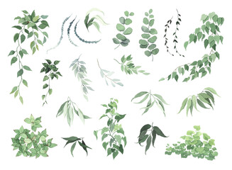 Set of simple abstract plants and branches, collection watercolor isolated elements for your design invitation or greeting cards, wallpapers or textile.