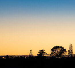 Sunrise sky colours and trees in silhouette