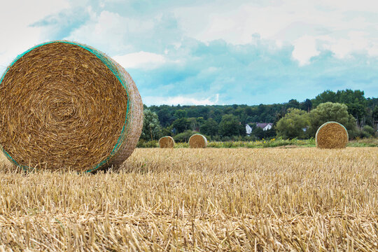 hey bales