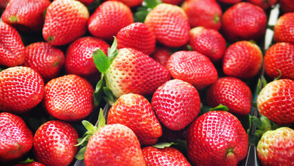 Fresh Strawberries in Trays on White Background