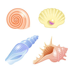 Fototapeta premium Set of vector illustrations of sea shells of different shapes and colors in cartoon style