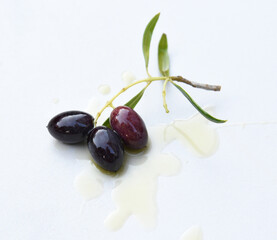 Ripe black olives, fresh branch with green leaves was dipped in olive oil, isolated on white background with shadows. Abstract pattern of oil drops. Small twig with fruit as healthy food concept.
