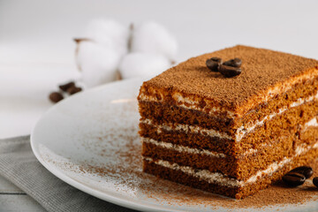 Traditional Italian dessert tiramisu on light background.