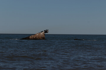 This is a picture of the SS Atlantus that sits off of Sunset Beach in Cape May New Jersey. Known by...